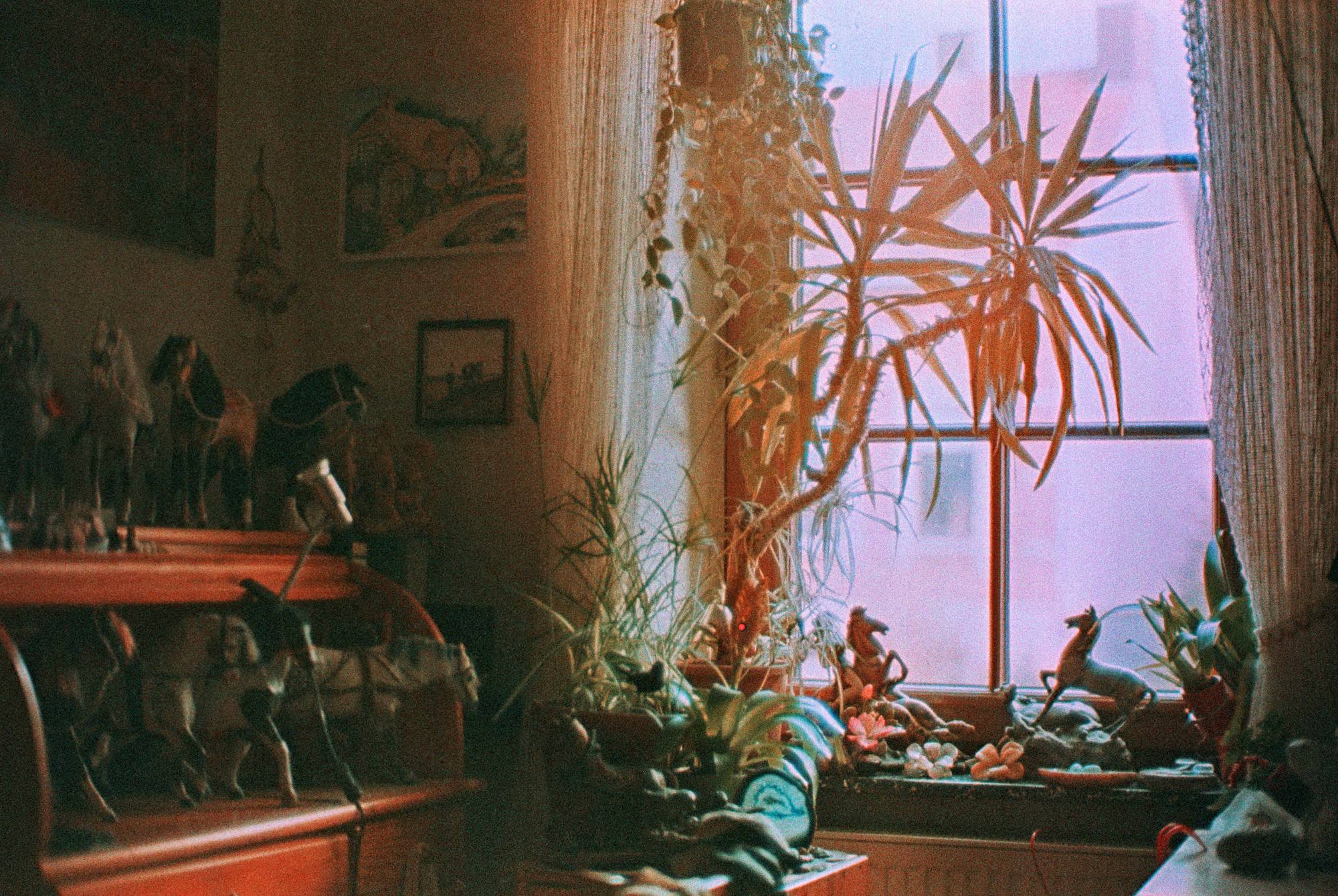 Vkl 2019 02 20 Leica CL 7Artisans Precisa cross 